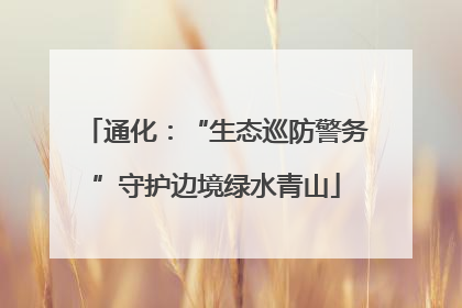 通化：“生态巡防警务”守护边境绿水青山
