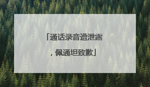 通话录音遭泄露，佩通坦致歉