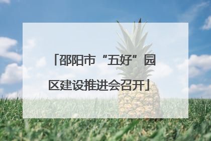 邵阳市“五好”园区建设推进会召开