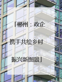 郴州：政企携手共绘乡村振兴新图景