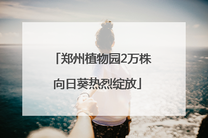 郑州植物园2万株向日葵热烈绽放