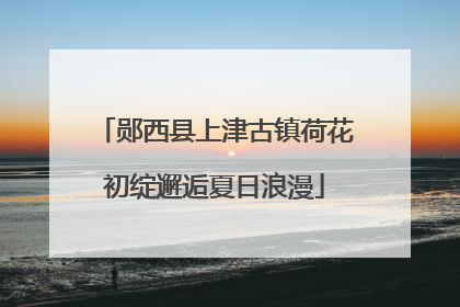 郧西县上津古镇荷花初绽邂逅夏日浪漫