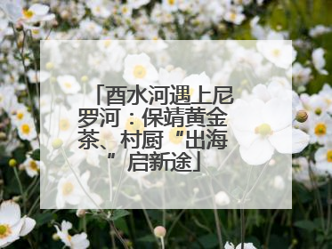 酉水河遇上尼罗河：保靖黄金茶、村厨“出海”启新途