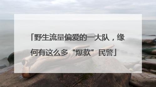 野生流量偏爱的一大队，缘何有这么多“爆款”民警