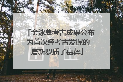 金泳墓考古成果公布 为首次经考古发掘的唐新罗质子墓葬