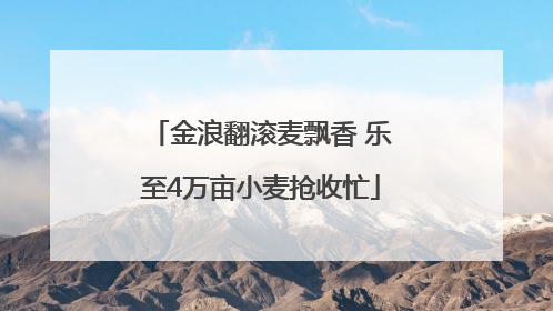 金浪翻滚麦飘香 乐至4万亩小麦抢收忙