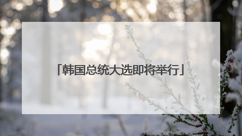 韩国总统大选即将举行