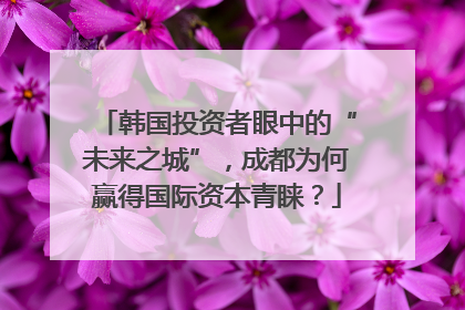 韩国投资者眼中的“未来之城”，成都为何赢得国际资本青睐？