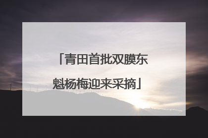 青田首批双膜东魁杨梅迎来采摘