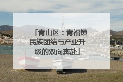 青山区：青福镇民族团结与产业升级的双向奔赴