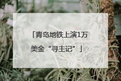青岛地铁上演1万美金“寻主记”