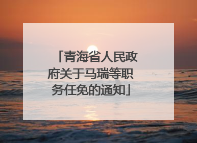 青海省人民政府关于马瑞等职务任免的通知