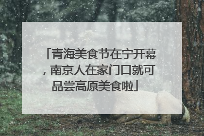 青海美食节在宁开幕，南京人在家门口就可品尝高原美食啦