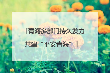 青海多部门持久发力共建“平安青海”