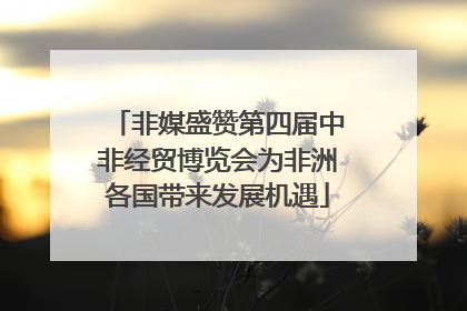 非媒盛赞第四届中非经贸博览会为非洲各国带来发展机遇