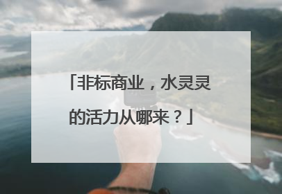 非标商业，水灵灵的活力从哪来？