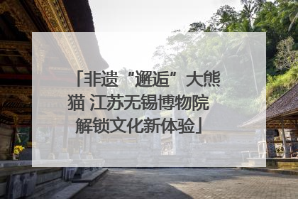 非遗“邂逅”大熊猫 江苏无锡博物院解锁文化新体验