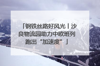 钢铁丝路好风光丨沙良物流园助力中欧班列跑出“加速度”