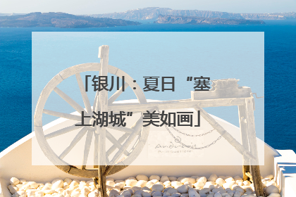 银川：夏日“塞上湖城”美如画