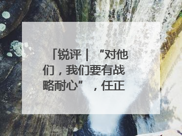 锐评｜“对他们，我们要有战略耐心”，任正非给谁提了醒