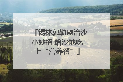 锡林郭勒盟治沙小妙招 给沙地吃上“营养餐”