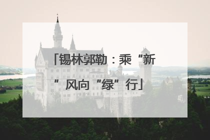 锡林郭勒：乘“新”风向“绿”行