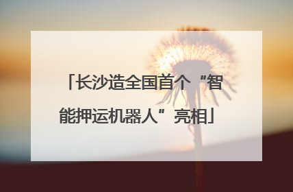 长沙造全国首个“智能押运机器人”亮相