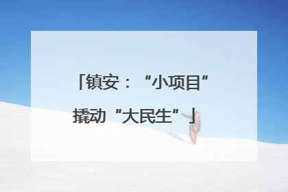 镇安：“小项目”撬动“大民生”