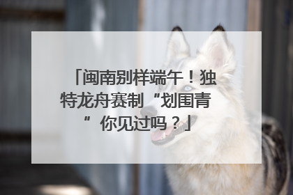 闽南别样端午！独特龙舟赛制“划围青”你见过吗？