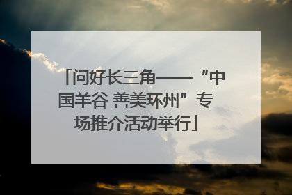 问好长三角——“中国羊谷 善美环州”专场推介活动举行