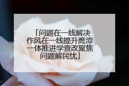 问题在一线解决 作风在一线提升鹰潭一体推进学查改聚焦问题解民忧