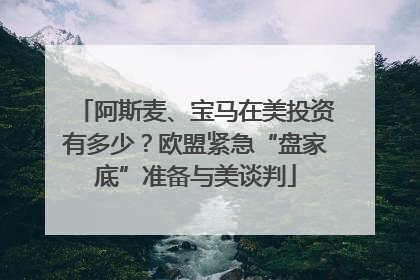 阿斯麦、宝马在美投资有多少？欧盟紧急“盘家底”准备与美谈判