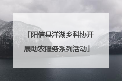 阳信县洋湖乡科协开展助农服务系列活动