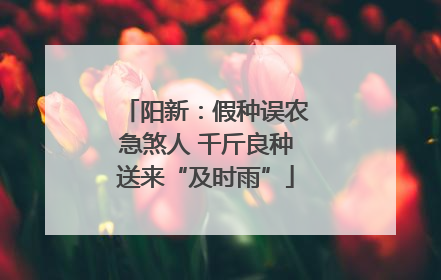 阳新：假种误农急煞人 千斤良种送来“及时雨”