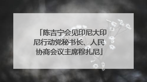 陈吉宁会见印尼大印尼行动党秘书长、人民协商会议主席穆扎尼