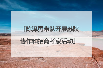陈泽勇带队开展苏陕协作和招商考察活动