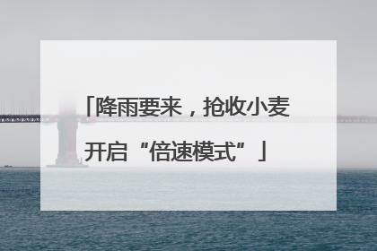 降雨要来，抢收小麦开启“倍速模式”