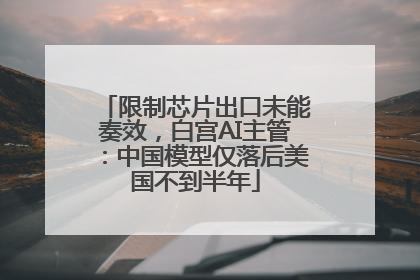 限制芯片出口未能奏效，白宫AI主管：中国模型仅落后美国不到半年