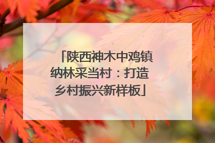 陕西神木中鸡镇纳林采当村：打造乡村振兴新样板