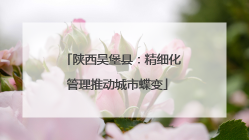 陕西吴堡县：精细化管理推动城市蝶变