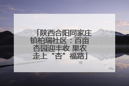 陕西合阳同家庄镇柏瑞社区：百亩杏园迎丰收 果农走上“杏”福路