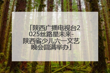 陕西广播电视台2025丝路星未来-陕西省少儿六一文艺晚会圆满举办