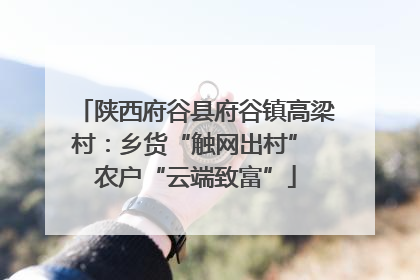 陕西府谷县府谷镇高梁村：乡货“触网出村” 农户“云端致富”