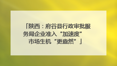 陕西：府谷县行政审批服务局企业准入“加速度” 市场生机“更盎然”