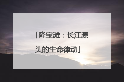 隆宝滩：长江源头的生命律动