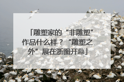 雕塑家的“非雕塑”作品什么样？“雕塑之外”展在浙图开幕