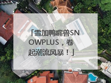 雪加鸭嘴兽SNOWPLUS，卷起潮流风暴！