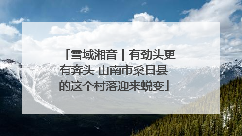 雪域湘音｜有劲头更有奔头 山南市桑日县的这个村落迎来蜕变