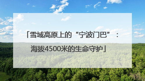 雪域高原上的“宁波门巴”：海拔4500米的生命守护