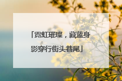 霓虹璀璨，藏蓝身影穿行街头巷尾